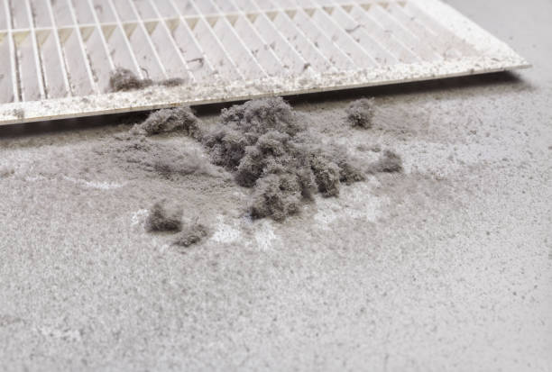 Best HVAC Maintenance and Cleaning  in Butler, GA