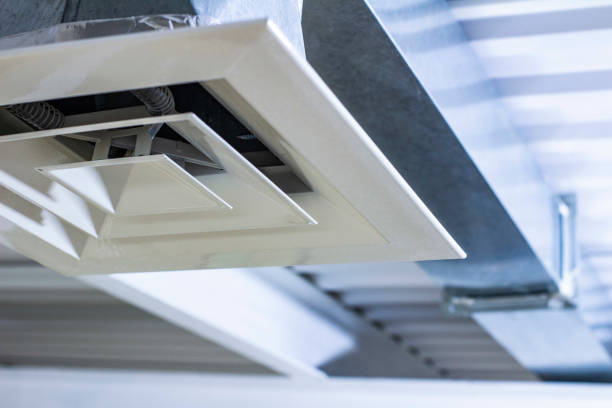 Best Air Duct Inspection  in Butler, GA