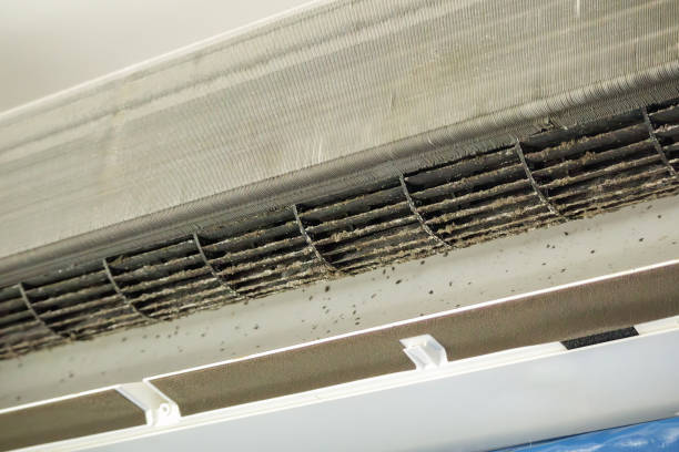 Best Air Vent Cleaning Services  in Butler, GA